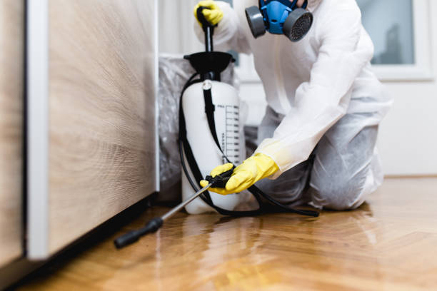 Best Affordable Pest Control Services  in Parkland, WA