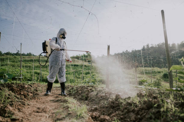 Professional Pest Control in Parkland, WA