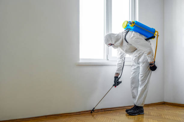  Parkland, WA Pest Control Pros