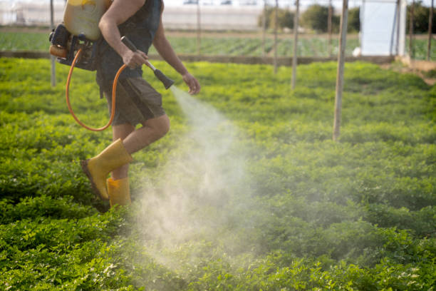 Best Commercial Pest Control Services  in Parkland, WA