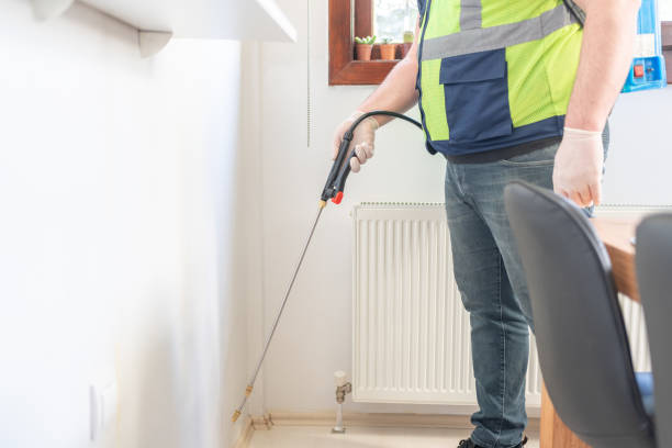 Best Flea Control Services  in Parkland, WA