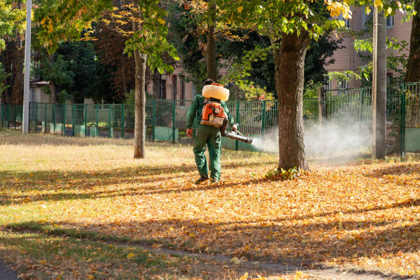 Best Pest Control Near Me  in Parkland, WA