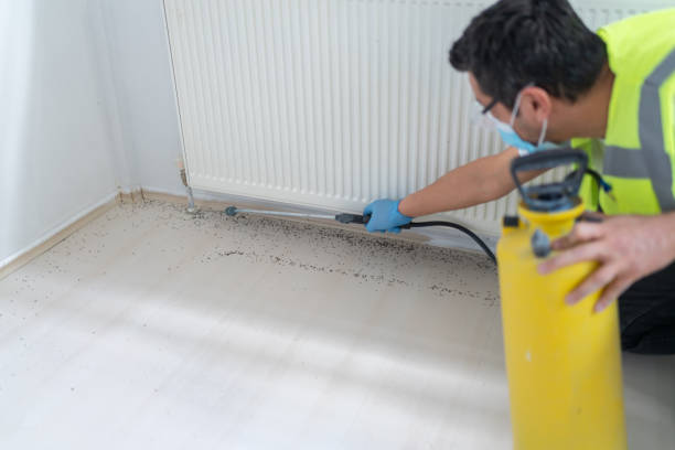 Best Local Pest Control Services  in Parkland, WA
